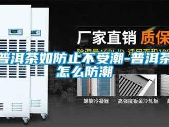 常見問(wèn)題普洱茶如防止不受潮-普洱茶怎么防潮