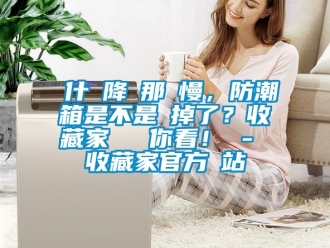 常見問題為什麼降濕那麼慢，防潮箱是不是壞掉了？收藏家實測給你看！ - 收藏家官方網站