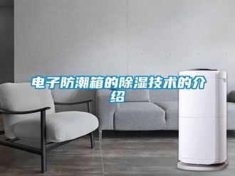 常見問題電子防潮箱的除濕技術的介紹