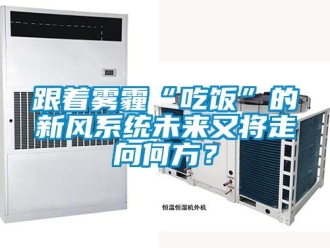 企業新聞跟著霧霾“吃飯”的新風系統未來又將走向何方？