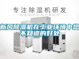 常見問題新風(fēng)除濕機(jī)在工業(yè)環(huán)境中您不知道的好處