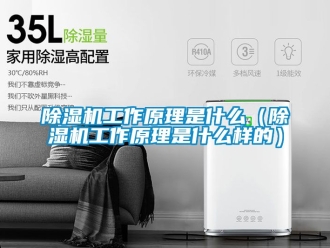 行業新聞除濕機工作原理是什么（除濕機工作原理是什么樣的）