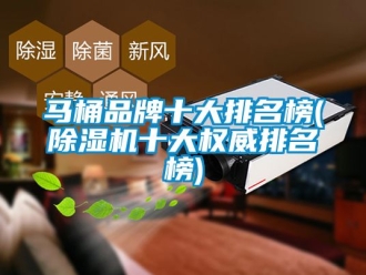 企業新聞馬桶品牌十大排名榜(除濕機十大權威排名榜)