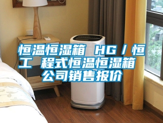 知識百科恒溫恒濕箱 HG／恒工 程式恒溫恒濕箱 公司銷售報價