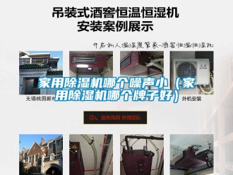 常見問題家用除濕機哪個噪聲小（家用除濕機哪個牌子好）