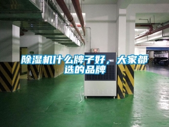 企業(yè)新聞除濕機(jī)什么牌子好，大家都選的品牌