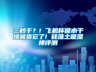 企業(yè)新聞三秒干？! 飛機(jī)杯吸水干燥就靠它了! 硅藻土吸濕棒評(píng)測(cè)
