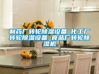 常見問題制藥廠轉輪除濕設備_化工廠轉輪除濕設備_食品廠轉輪除濕機