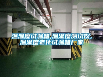 企業新聞溫濕度試驗箱,溫濕度測試儀,溫濕度老化試驗箱廠家