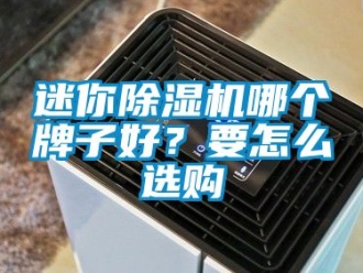 行業(yè)新聞迷你除濕機(jī)哪個(gè)牌子好？要怎么選購(gòu)