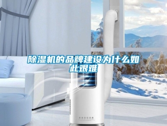 常見(jiàn)問(wèn)題除濕機(jī)的品牌建設(shè)為什么如此艱難