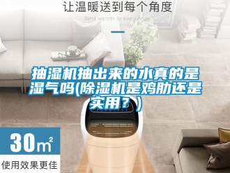 企業(yè)新聞抽濕機抽出來的水真的是濕氣嗎(除濕機是雞肋還是實用？)