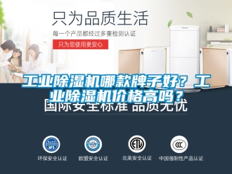 常見問題工業除濕機哪款牌子好？工業除濕機價格高嗎？