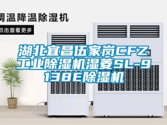 常見問題湖北宜昌伍家崗CFZ工業(yè)除濕機(jī)濕菱SL-9138E除濕機(jī)