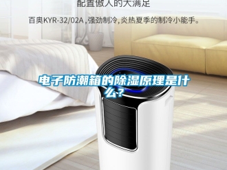 常見問題電子防潮箱的除濕原理是什么？