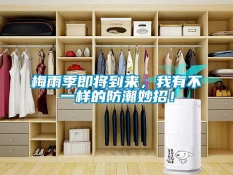 行業新聞梅雨季即將到來，我有不一樣的防潮妙招！