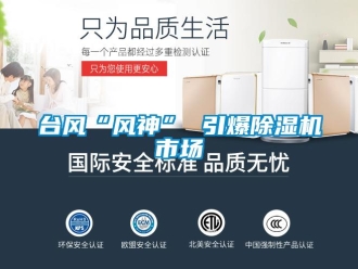 知識百科臺風“風神” 引爆除濕機市場