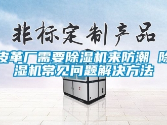 行業新聞皮革廠需要除濕機來防潮 除濕機常見問題解決方法