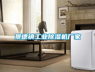 企業新聞景德鎮工業除濕機廠家