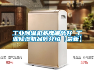 常見問題工業除濕機品牌哪個好 工業除濕機品牌介紹【最新】
