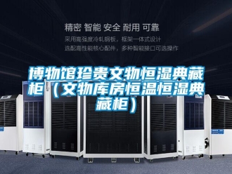 知識(shí)百科博物館珍貴文物恒濕典藏柜（文物庫(kù)房恒溫恒濕典藏柜）