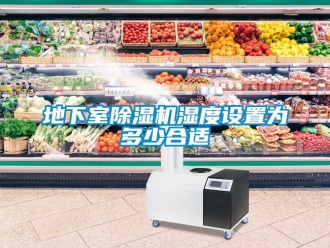 行業(yè)新聞地下室除濕機濕度設置為多少合適