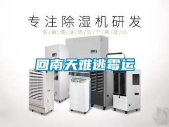 行業(yè)新聞回南天難逃霉運