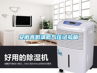 常見問題安徽高低溫低氣壓試驗箱