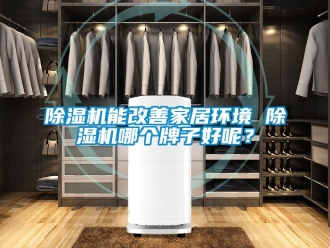 行業新聞除濕機能改善家居環境 除濕機哪個牌子好呢？