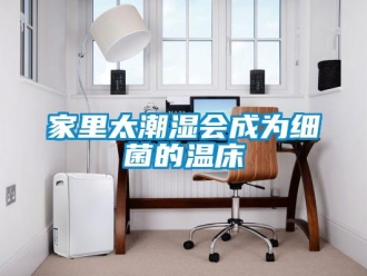 行業(yè)新聞家里太潮濕會成為細(xì)菌的溫床