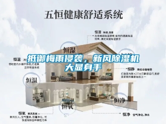 常見問題抵御梅雨侵襲，新風除濕機大顯身手