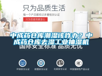 企業新聞中成藥倉庫潮濕該咋辦？中成藥倉庫去濕工業抽濕機