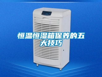知識百科恒溫恒濕箱保養的五大技巧