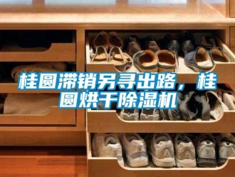 行業(yè)新聞桂圓滯銷另尋出路，桂圓烘干除濕機(jī)
