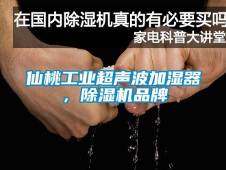 常見問題仙桃工業(yè)超聲波加濕器，除濕機(jī)品牌