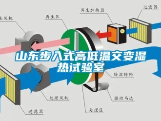 常見問題山東步入式高低溫交變濕熱試驗室