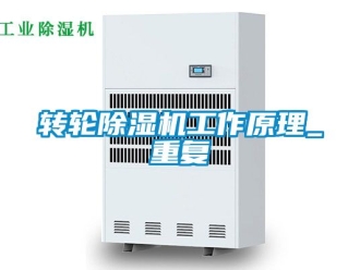 常見問題轉(zhuǎn)輪除濕機工作原理_重復(fù)