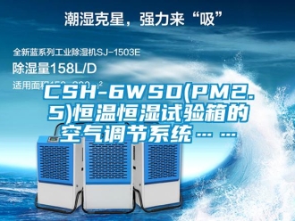 常見問題CSH-6WSD(PM2.5)恒溫恒濕試驗箱的空氣調節系統……