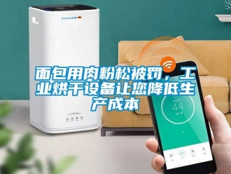 行業(yè)新聞面包用肉粉松被罰，工業(yè)烘干設(shè)備讓您降低生產(chǎn)成本