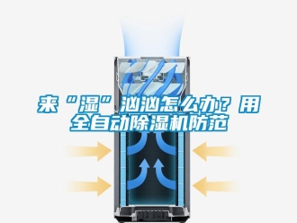 常見問題來“濕”洶洶怎么辦？用全自動除濕機防范