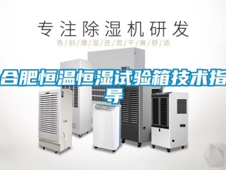 知識(shí)百科合肥恒溫恒濕試驗(yàn)箱技術(shù)指導(dǎo)