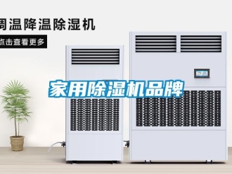 行業(yè)新聞家用除濕機(jī)品牌
