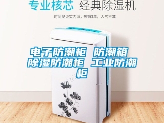 常見問題電子防潮柜 防潮箱 除濕防潮柜 工業防潮柜