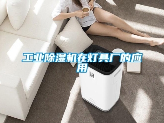 企業(yè)新聞工業(yè)除濕機在燈具廠的應(yīng)用