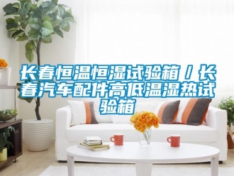 知識(shí)百科長(zhǎng)春恒溫恒濕試驗(yàn)箱／長(zhǎng)春汽車(chē)配件高低溫濕熱試驗(yàn)箱