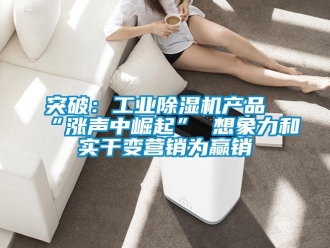 知識百科突破：工業(yè)除濕機(jī)產(chǎn)品“漲聲中崛起” 想象力和實干變營銷為贏銷