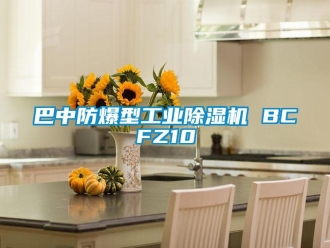 企業(yè)新聞巴中防爆型工業(yè)除濕機(jī) BCFZ10