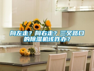 知識(shí)百科向左走？向右走？三叉路口的除濕機(jī)該咋辦？