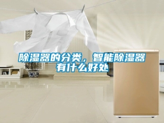 行業(yè)新聞除濕器的分類，智能除濕器有什么好處