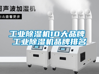 常見問題工業(yè)除濕機10大品牌 工業(yè)除濕機品牌排名